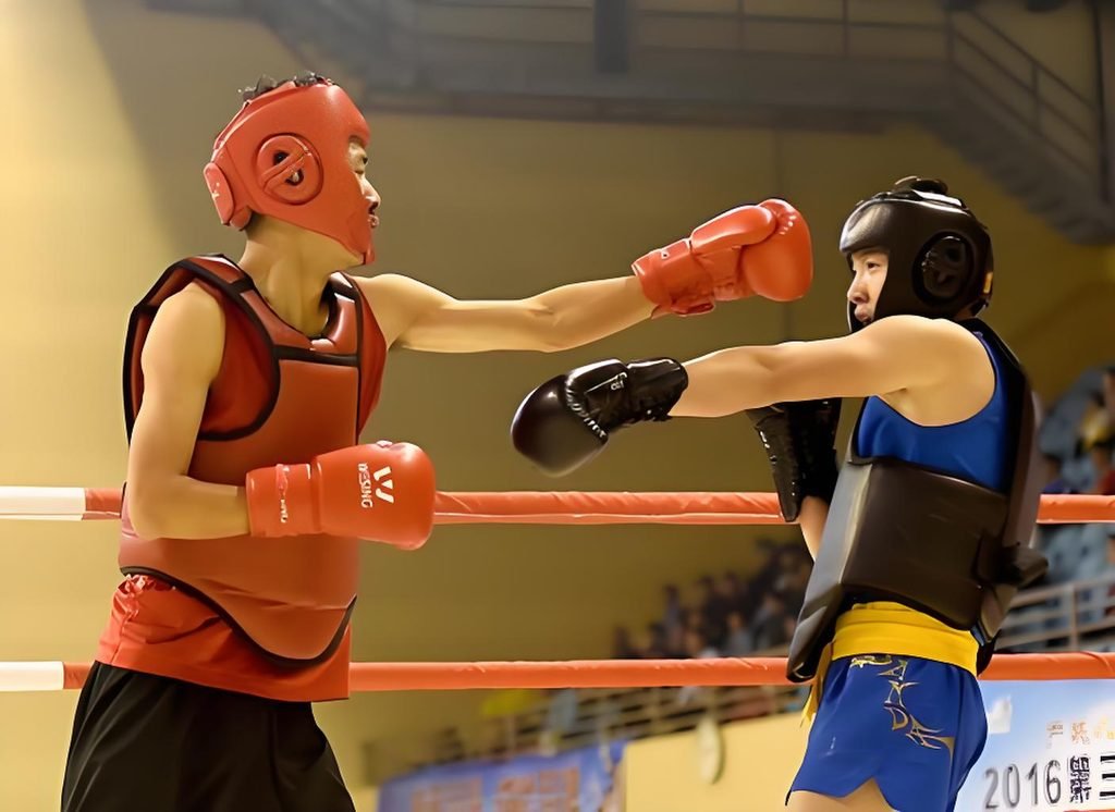 combat sports